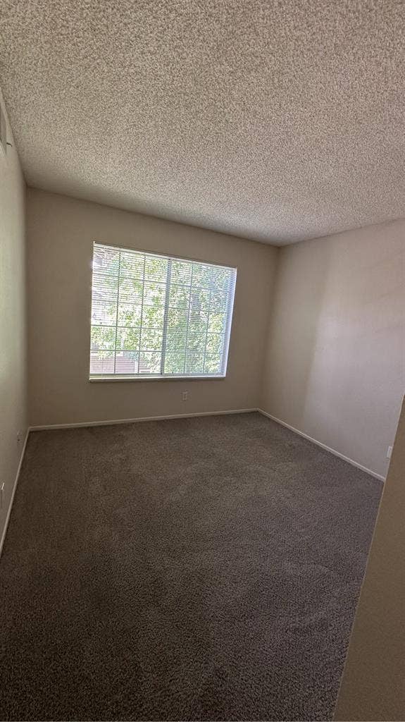 Looking for a girl roommate!