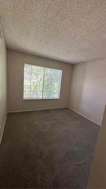 Looking for a girl roommate!