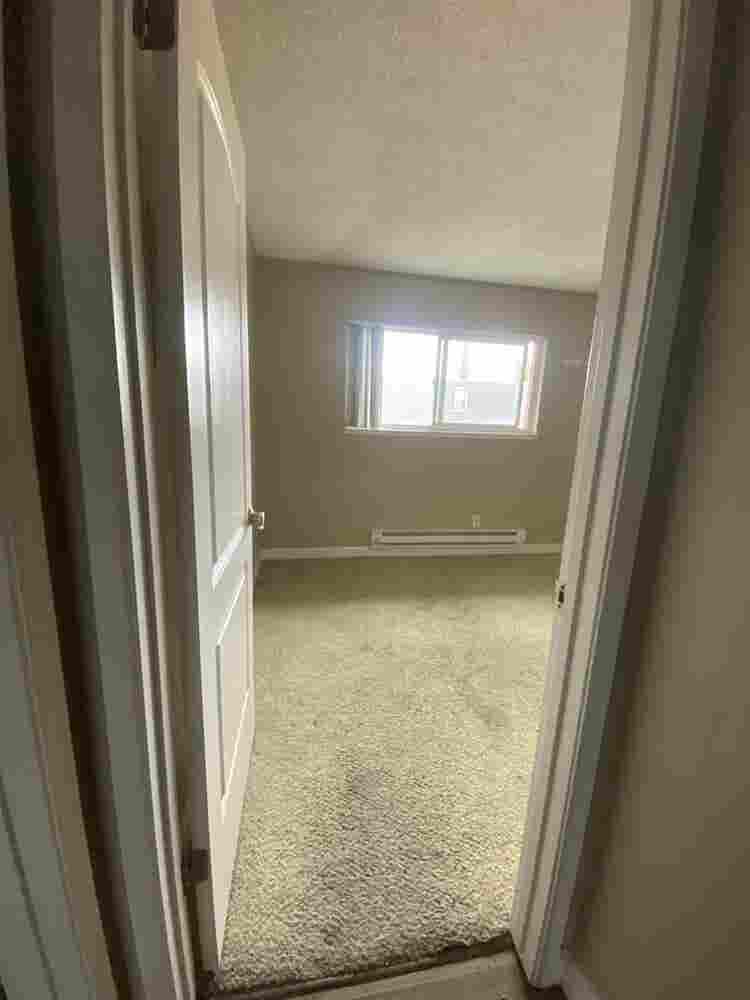 Looking for a roommate for October