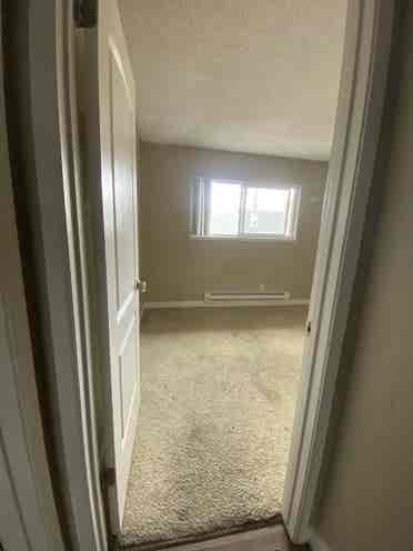 Looking for a roommate for October