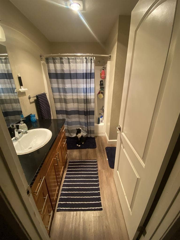 Looking for a roommate for October