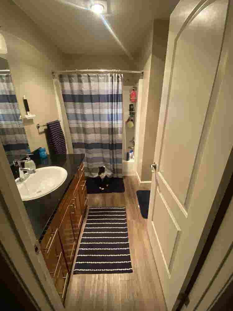 Looking for a roommate for October