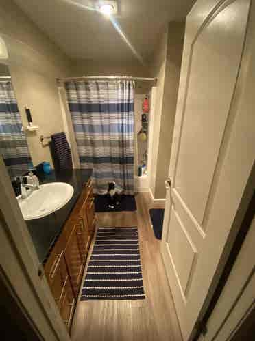 Looking for a roommate for October