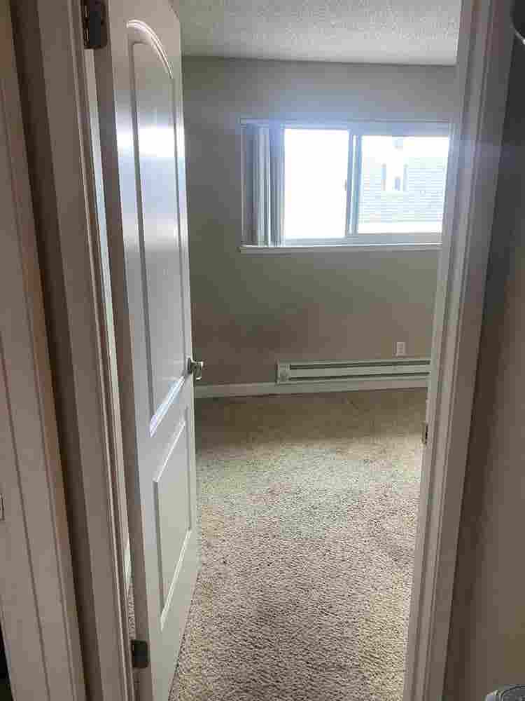 Looking for a roommate for October
