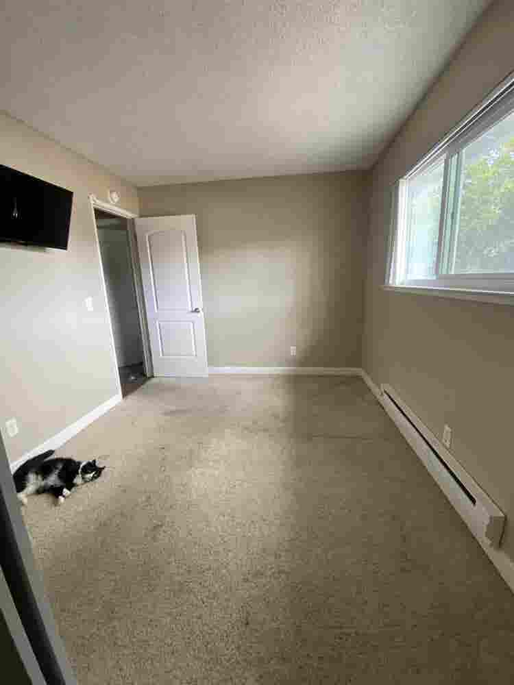Looking for a roommate for October