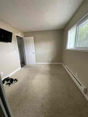 Looking for a roommate for October