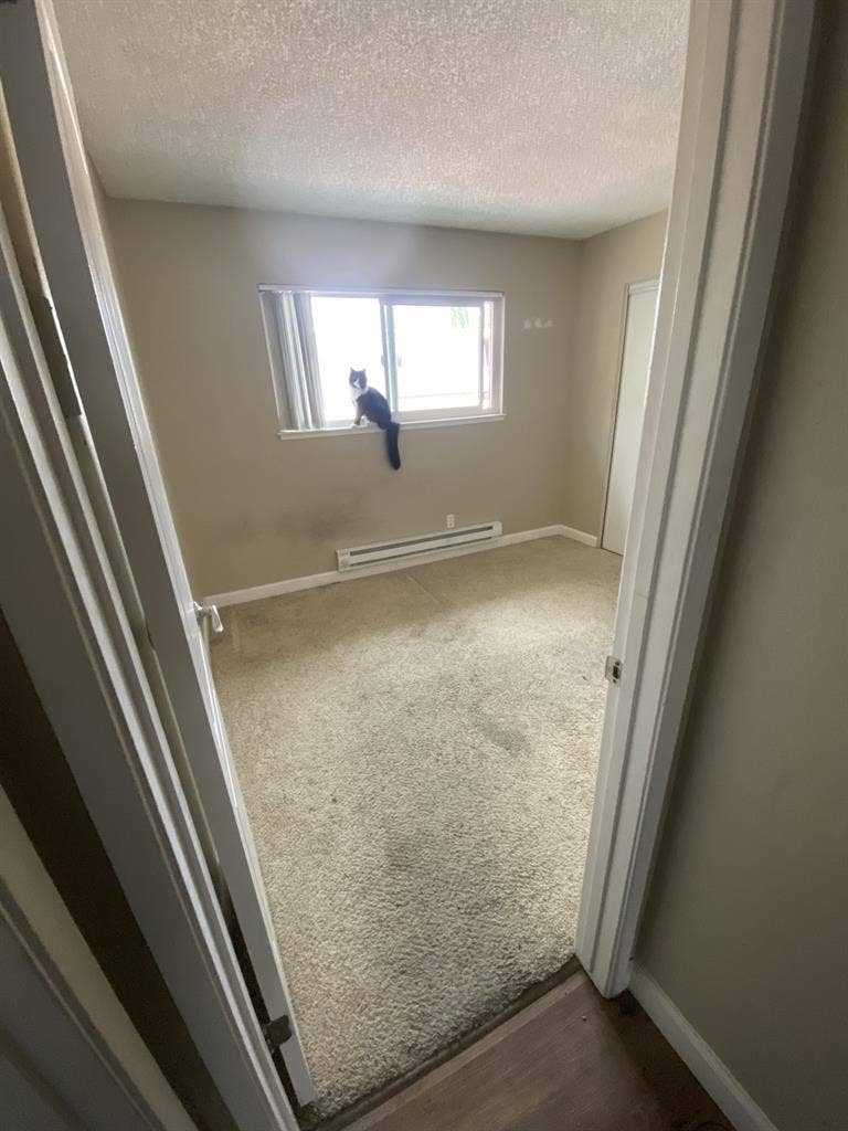 Looking for a roommate for October