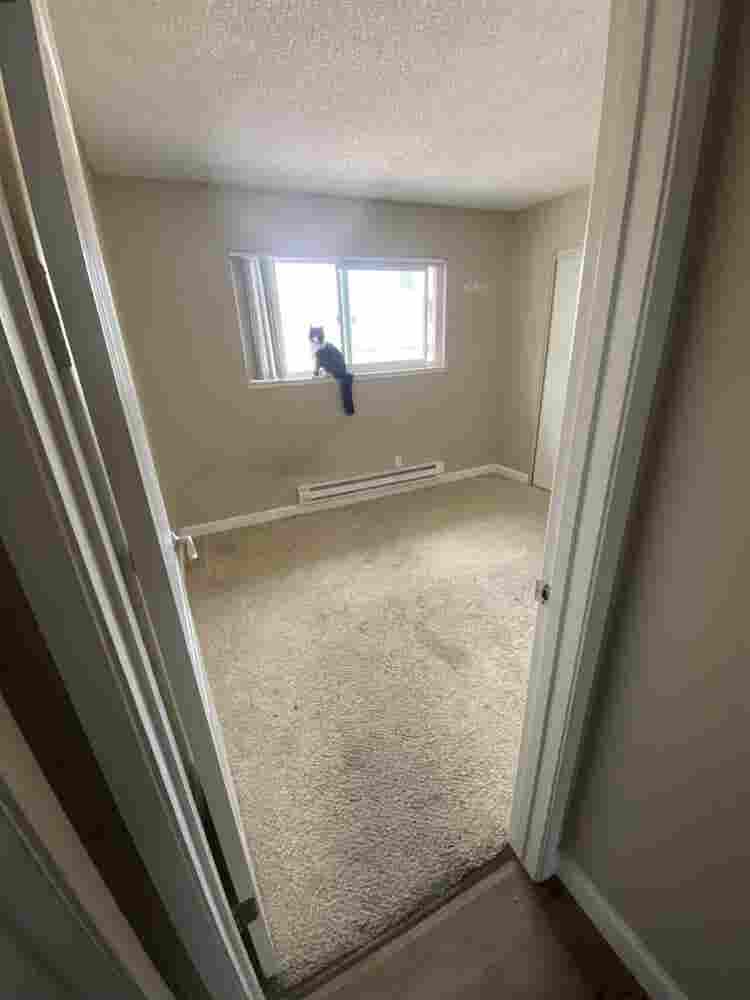 Looking for a roommate for October