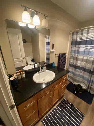 Looking for a roommate for October