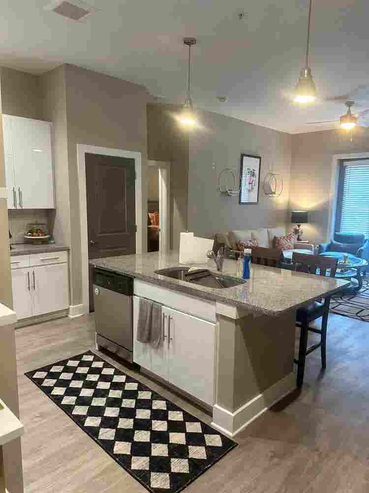 Furnished Apt- Roommate Wanted