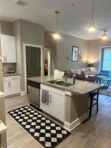 Furnished Apt- Roommate Wanted