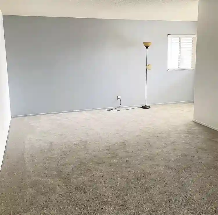 Single room/ No deposit required