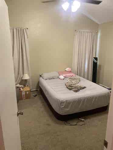 Looking for a roommate