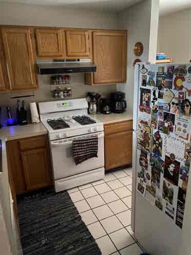 Looking for a roommate