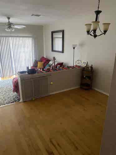 Looking for a roommate