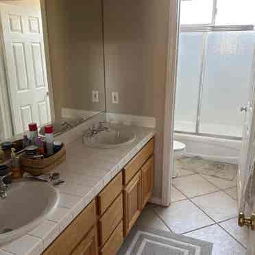 Single room for rent