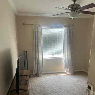 Single room for rent