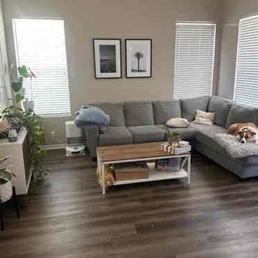 Single room for rent