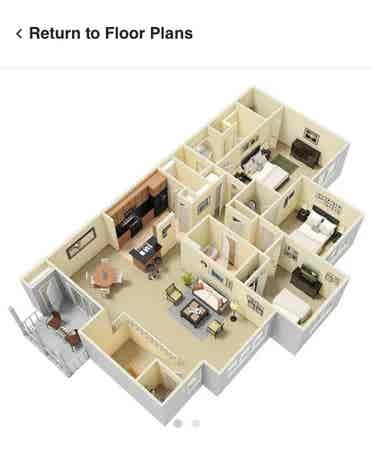 Need roommate now - Dec Nineteenth