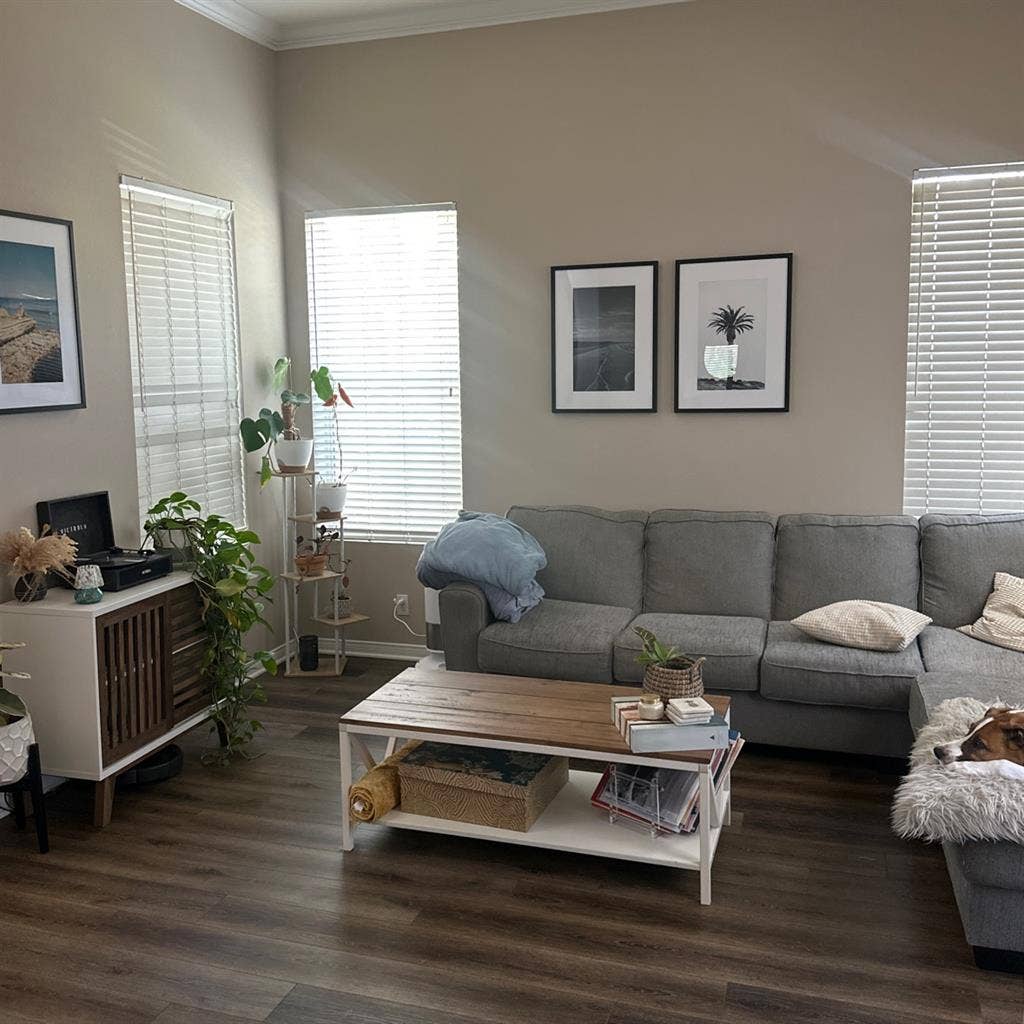 Single bedroom for rent