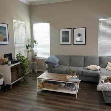 Single bedroom for rent