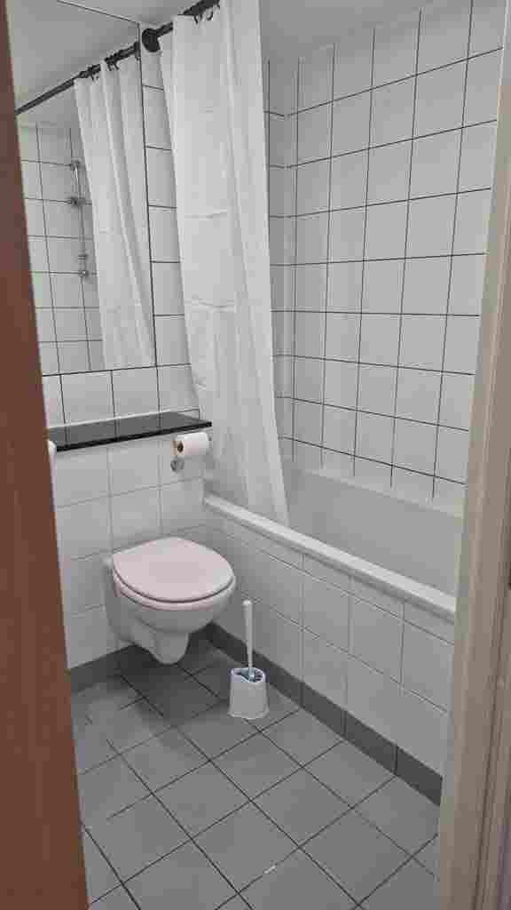1 bedroom apartment D9