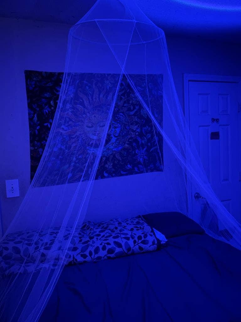 ROOMATE NEEDED ASAP