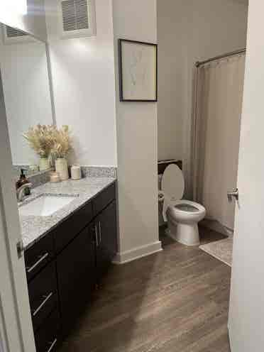 Looking for a 3rd roommate