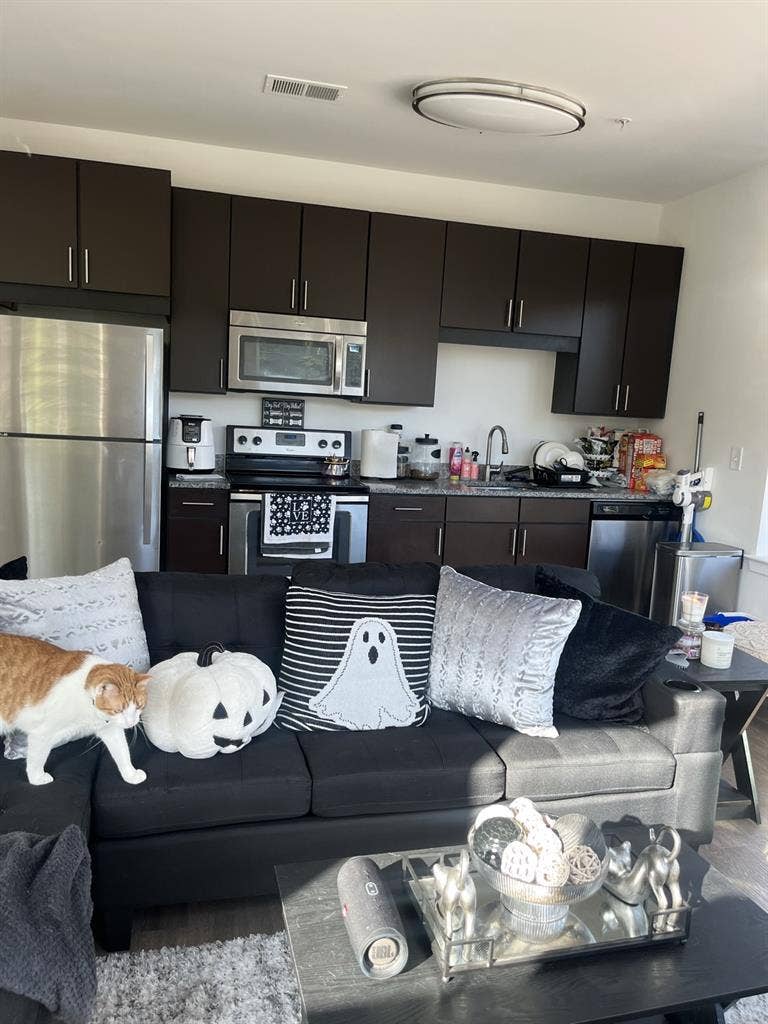 Looking for a 3rd roommate