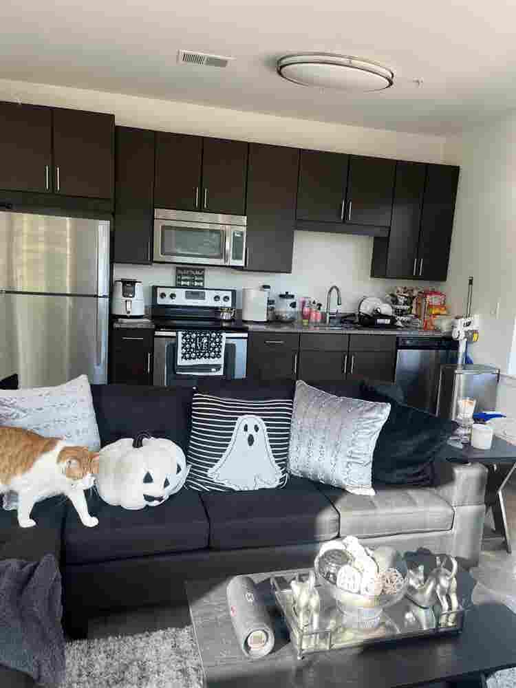 Looking for a 3rd roommate