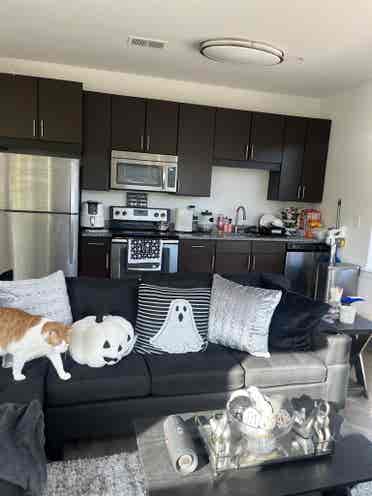 Looking for a 3rd roommate