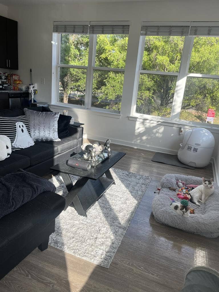 Looking for a 3rd roommate