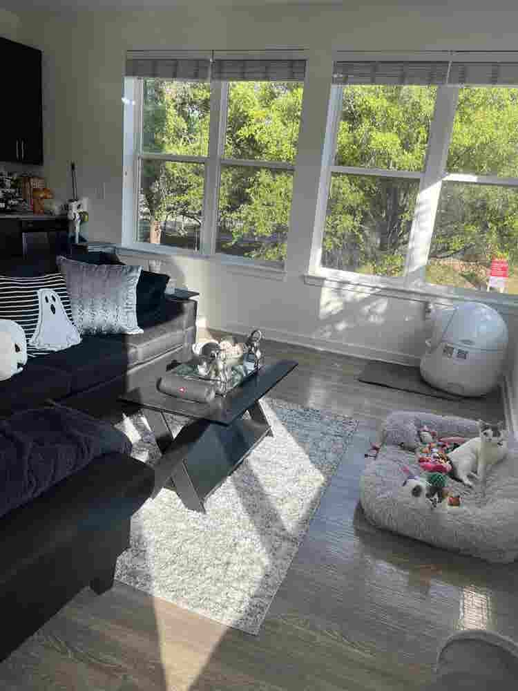 Looking for a 3rd roommate