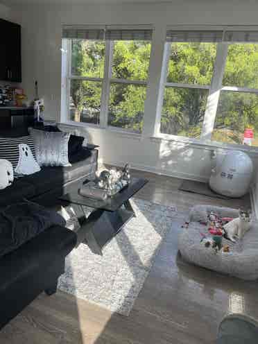 Looking for a 3rd roommate