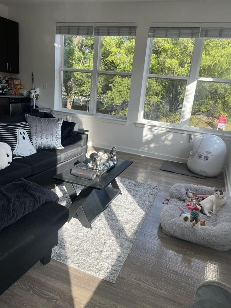 Looking for a 3rd roommate