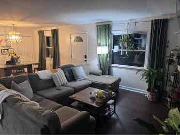 Looking for a Roomate
