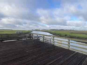 1 roommie wanted in 2 bedroom condo