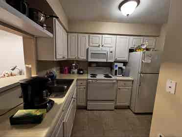 1 roommie wanted in 2 bedroom condo