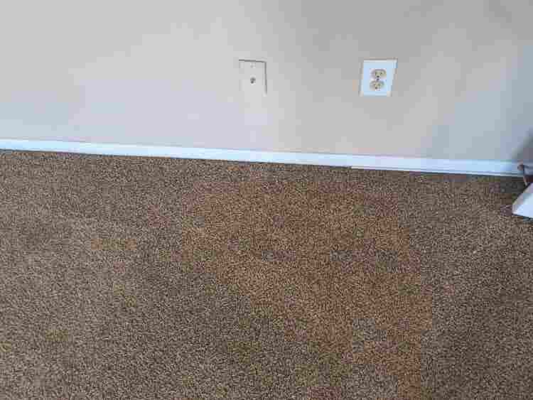 4 BR in Manor