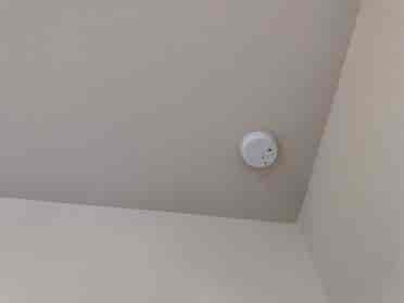 4 BR in Manor