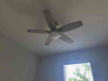 3 BR in Hutto