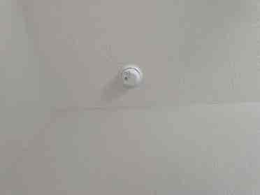 3 BR in Hutto
