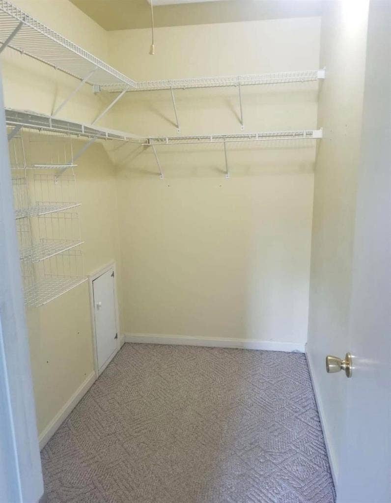 Seeking Female Roommate for Primary