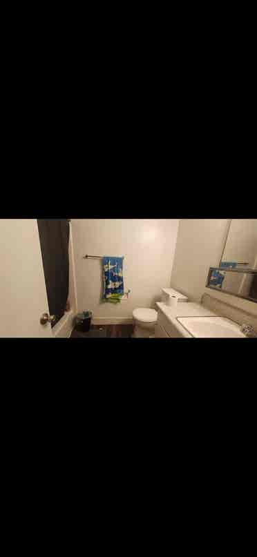 Room for rent