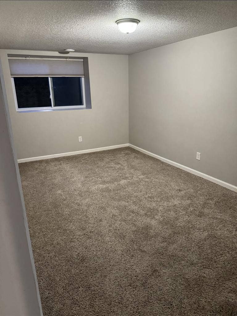 Basement Suite in Maple Grove