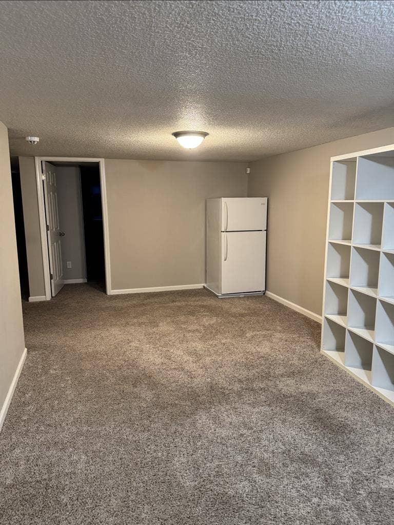 Basement Suite in Maple Grove