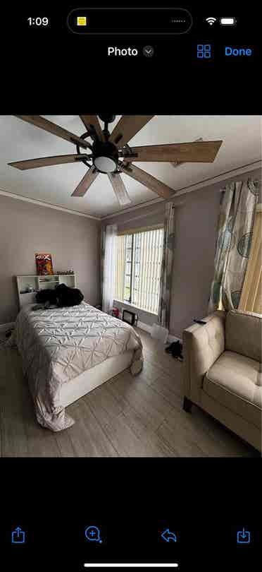 Room for rent near broward college