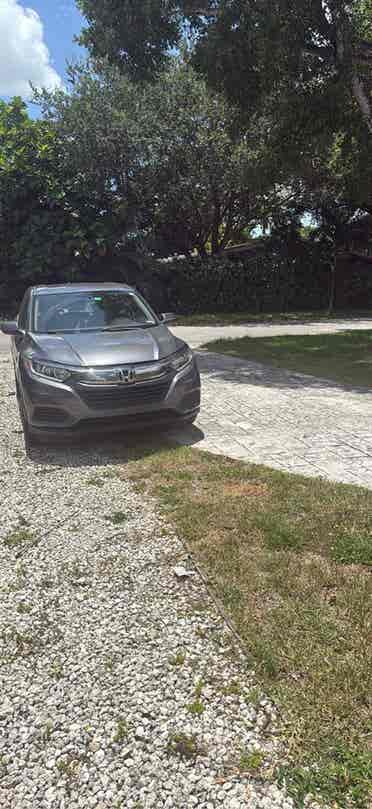 Room for rent near broward college