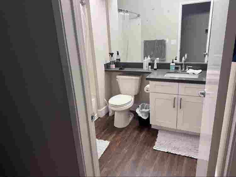 Room for rent in 
apartment