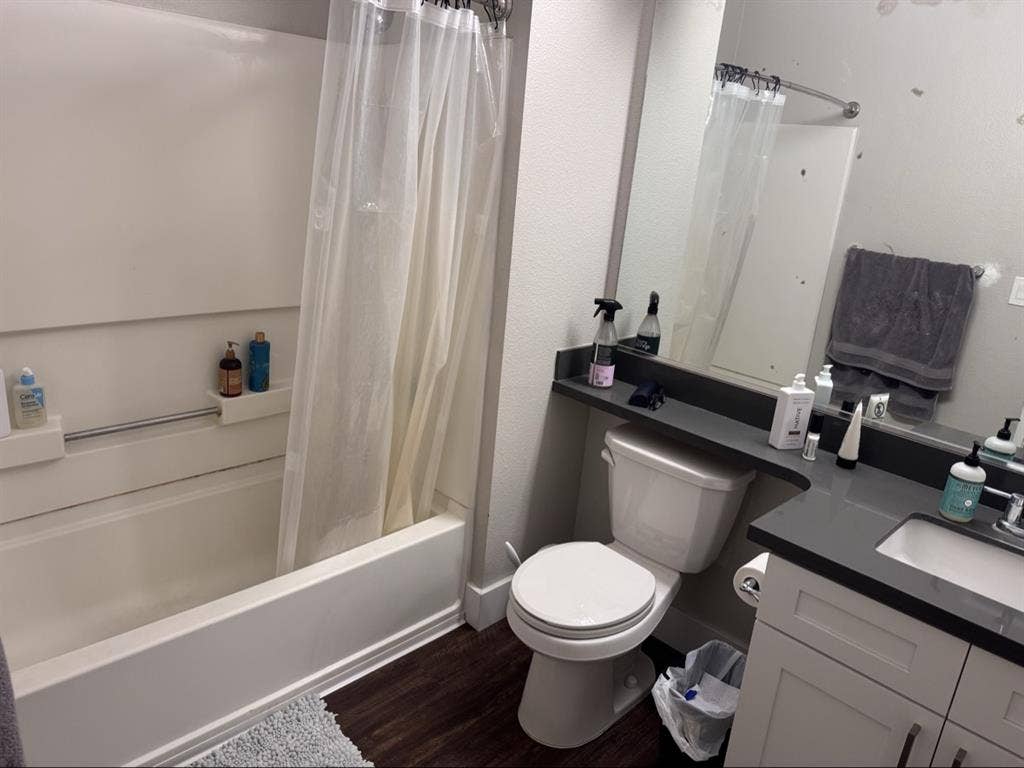 Room for rent in
apartment